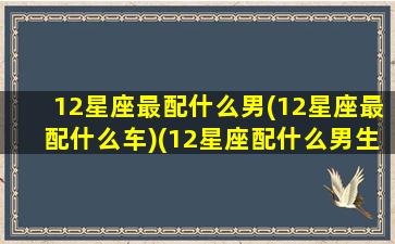 12星座最配什么男(12星座最配什么车)(12星座配什么男生)