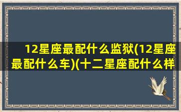 12星座最配什么监狱(12星座最配什么车)(十二星座配什么样的男生)