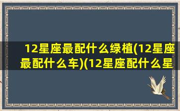 12星座最配什么绿植(12星座最配什么车)(12星座配什么星座最好)