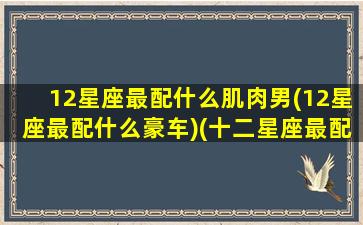 12星座最配什么肌肉男(12星座最配什么豪车)(十二星座最配的飞机)