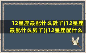 12星座最配什么鞋子(12星座最配什么房子)(12星座配什么星座最好)