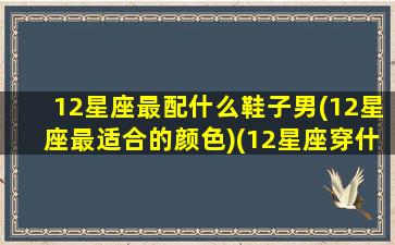 12星座最配什么鞋子男(12星座最适合的颜色)(12星座穿什么鞋子最漂亮)