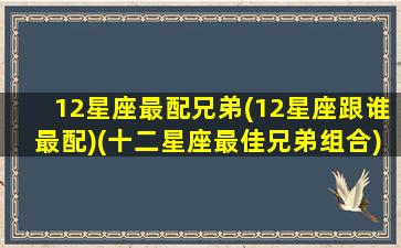 12星座最配兄弟(12星座跟谁最配)(十二星座最佳兄弟组合)