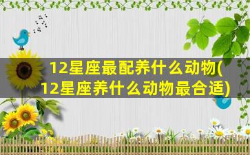 12星座最配养什么动物(12星座养什么动物最合适)