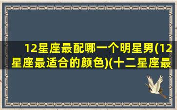 12星座最配哪一个明星男(12星座最适合的颜色)(十二星座最配的女明星)