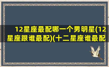 12星座最配哪一个男明星(12星座跟谁最配)(十二星座谁最配)