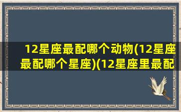 12星座最配哪个动物(12星座最配哪个星座)(12星座里最配的星座)