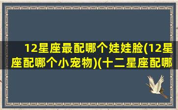 12星座最配哪个娃娃脸(12星座配哪个小宠物)(十二星座配哪个小宠物图片)