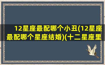 12星座最配哪个小丑(12星座最配哪个星座结婚)(十二星座里最配的一对)