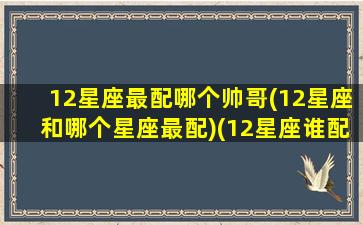 12星座最配哪个帅哥(12星座和哪个星座最配)(12星座谁配谁最合适)