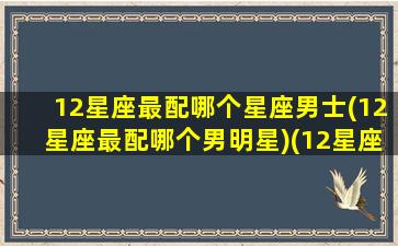 12星座最配哪个星座男士(12星座最配哪个男明星)(12星座配什么明星男友合适)