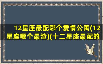 12星座最配哪个爱情公寓(12星座哪个最渣)(十二星座最配的明星老公)