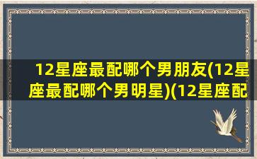 12星座最配哪个男朋友(12星座最配哪个男明星)(12星座配什么男生)