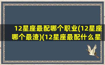 12星座最配哪个职业(12星座哪个最渣)(12星座最配什么星座配对)