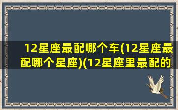 12星座最配哪个车(12星座最配哪个星座)(12星座里最配的星座)