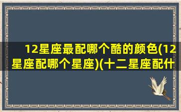 12星座最配哪个酷的颜色(12星座配哪个星座)(十二星座配什么样的男生)