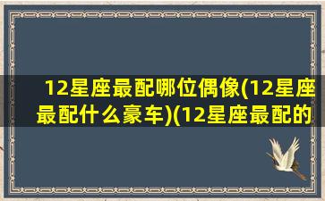 12星座最配哪位偶像(12星座最配什么豪车)(12星座最配的一对)