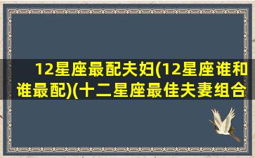 12星座最配夫妇(12星座谁和谁最配)(十二星座最佳夫妻组合)