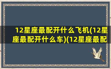 12星座最配开什么飞机(12星座最配开什么车)(12星座最配什么跑车)