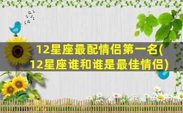 12星座最配情侣第一名(12星座谁和谁是最佳情侣)