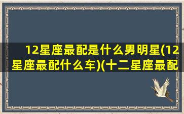 12星座最配是什么男明星(12星座最配什么车)(十二星座最配哪个星座的男生)