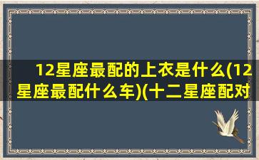12星座最配的上衣是什么(12星座最配什么车)(十二星座配对什么衣服最好看)