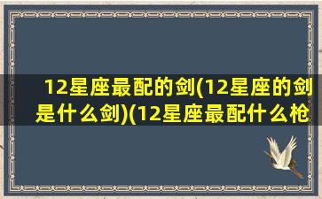 12星座最配的剑(12星座的剑是什么剑)(12星座最配什么枪)