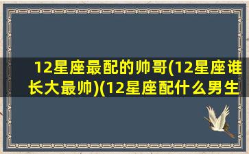 12星座最配的帅哥(12星座谁长大最帅)(12星座配什么男生)