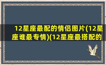 12星座最配的情侣图片(12星座谁最专情)(12星座最搭配的情侣)