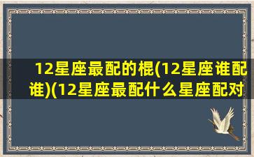 12星座最配的棍(12星座谁配谁)(12星座最配什么星座配对)