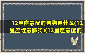 12星座最配的狗狗是什么(12星座谁最舔狗)(12星座最配的一对)