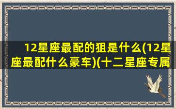 12星座最配的狙是什么(12星座最配什么豪车)(十二星座专属狙击枪谁最强)