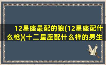 12星座最配的狼(12星座配什么枪)(十二星座配什么样的男生)