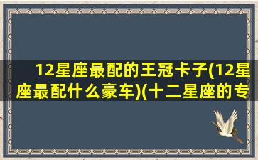 12星座最配的王冠卡子(12星座最配什么豪车)(十二星座的专属王冠长什么样)