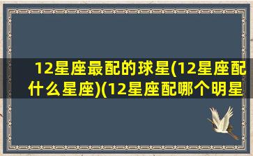 12星座最配的球星(12星座配什么星座)(12星座配哪个明星)