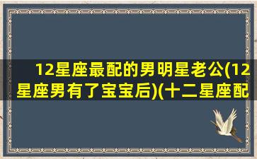 12星座最配的男明星老公(12星座男有了宝宝后)(十二星座配对男明星)