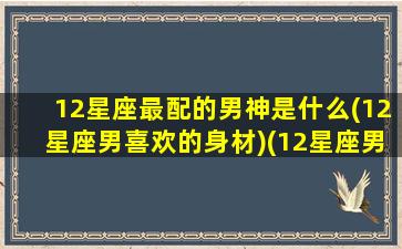 12星座最配的男神是什么(12星座男喜欢的身材)(12星座男最合适的星座女)