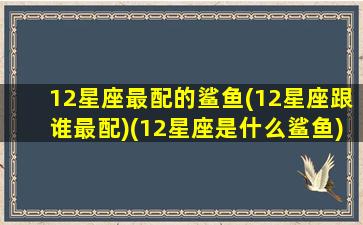 12星座最配的鲨鱼(12星座跟谁最配)(12星座是什么鲨鱼)