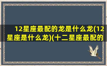 12星座最配的龙是什么龙(12星座是什么龙)(十二星座最配的)