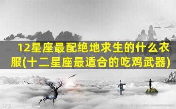 12星座最配绝地求生的什么衣服(十二星座最适合的吃鸡武器)