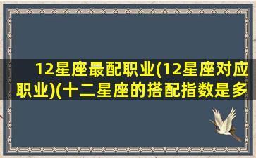 12星座最配职业(12星座对应职业)(十二星座的搭配指数是多少)