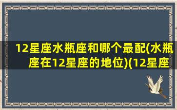 12星座水瓶座和哪个最配(水瓶座在12星座的地位)(12星座水瓶座和什么座最配)