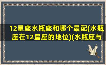 12星座水瓶座和哪个最配(水瓶座在12星座的地位)(水瓶座与十二星座的匹配度)