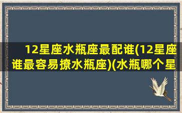 12星座水瓶座最配谁(12星座谁最容易撩水瓶座)(水瓶哪个星座最配对)