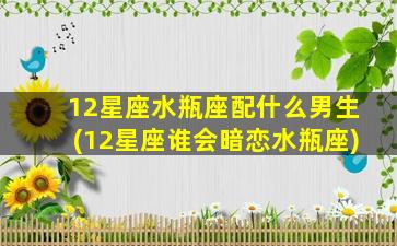 12星座水瓶座配什么男生(12星座谁会暗恋水瓶座)