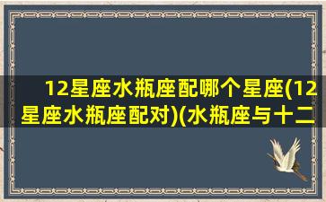 12星座水瓶座配哪个星座(12星座水瓶座配对)(水瓶座与十二星座的配对指数)