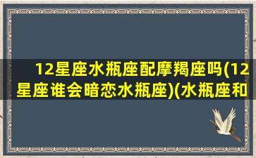 12星座水瓶座配摩羯座吗(12星座谁会暗恋水瓶座)(水瓶座和摩羯座配不配做情侣)