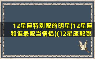 12星座特别配的明星(12星座和谁最配当情侣)(12星座配哪个明星)