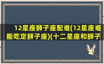 12星座狮子座配谁(12星座谁能吃定狮子座)(十二星座和狮子座的匹配指数)