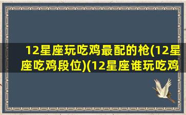 12星座玩吃鸡最配的枪(12星座吃鸡段位)(12星座谁玩吃鸡最厉害)